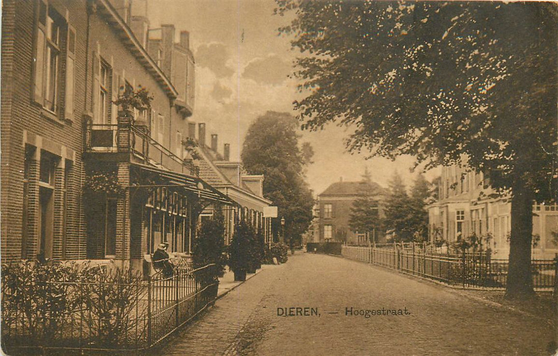 Dieren Hoogstraat
