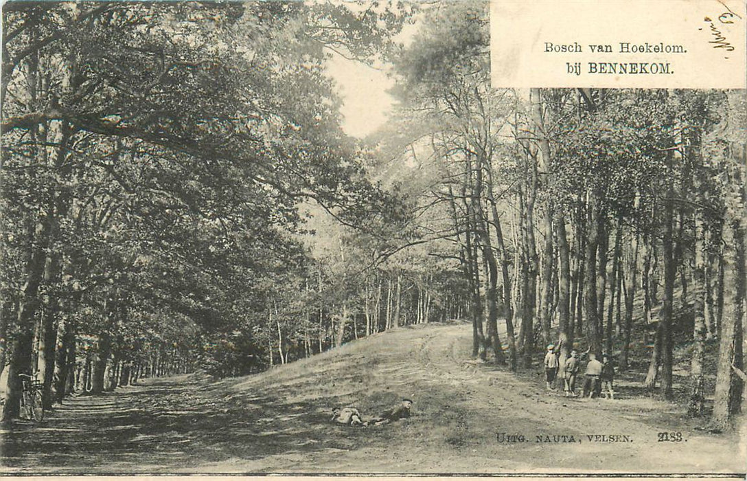Bennekom Bosch  Van Hoekelom