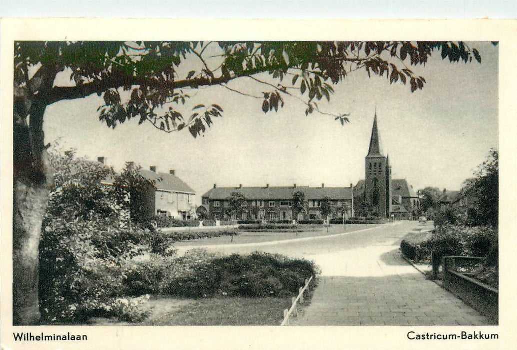 Castricum  Wilhelminalaan
