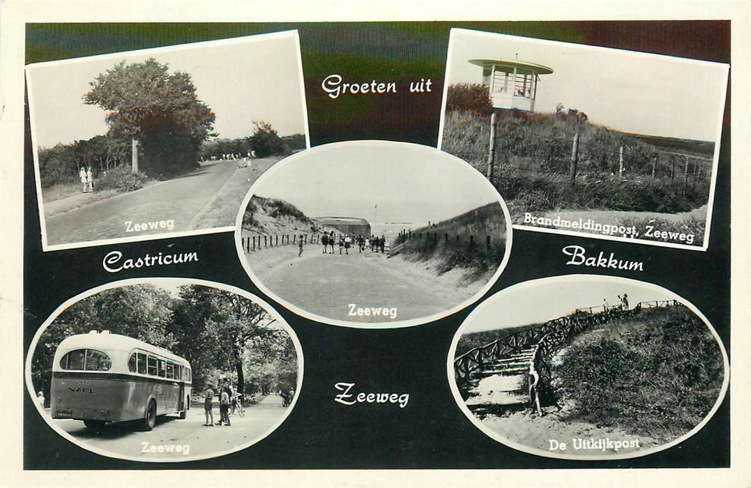 Castricum  Bakkum
