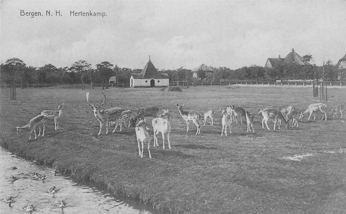 Bergen Nh Hertenkamp