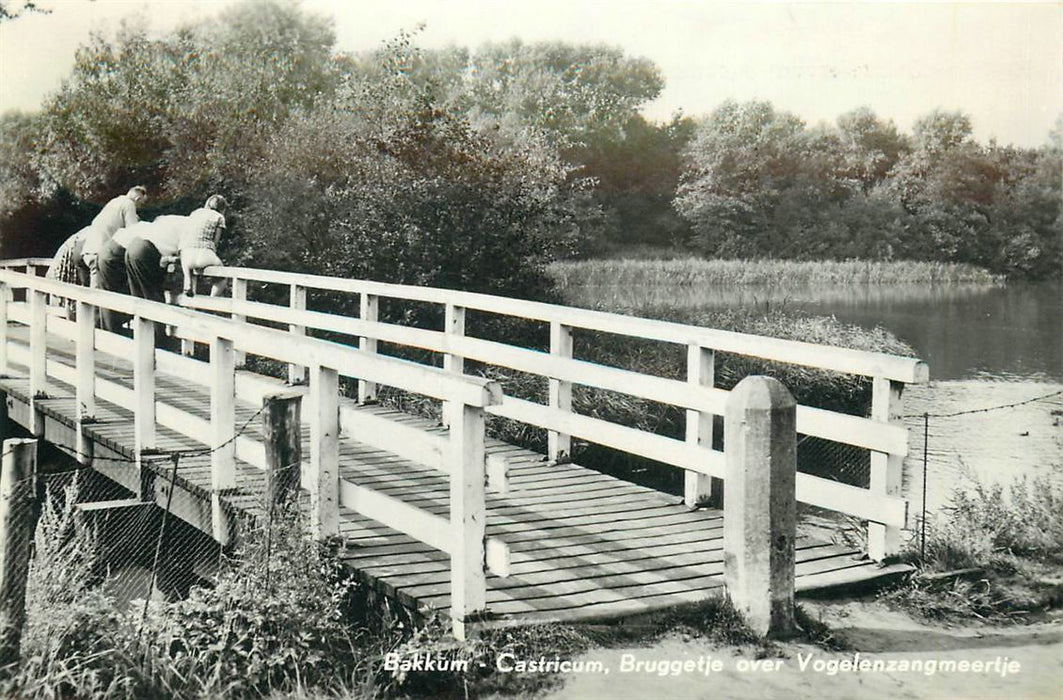 Castricum  Bakkum