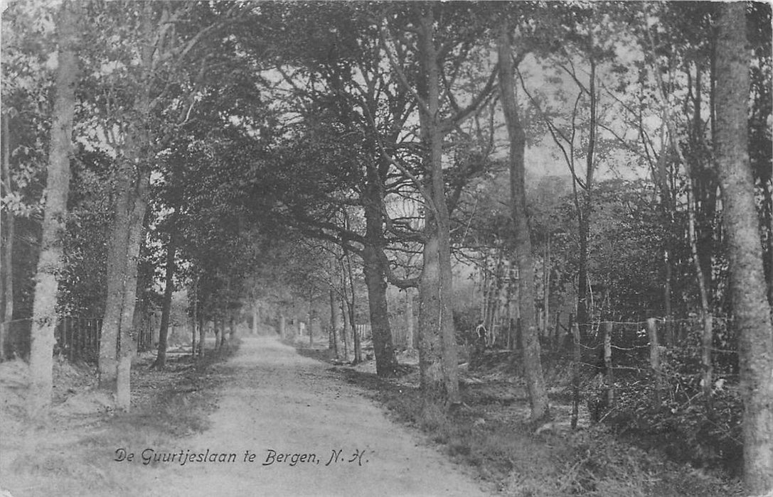 Bergen Nh De Guurtjeslaan