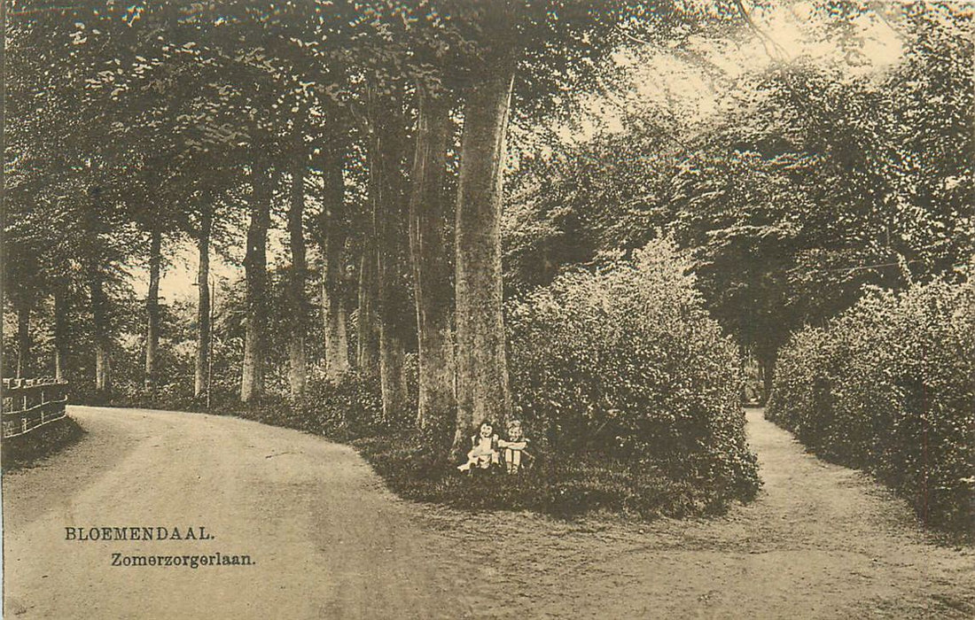 Bloemendaal Zomerzorgerlaan
