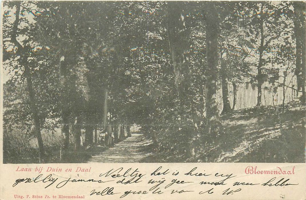 Bloemendaal Laan Bij Duin En Daa