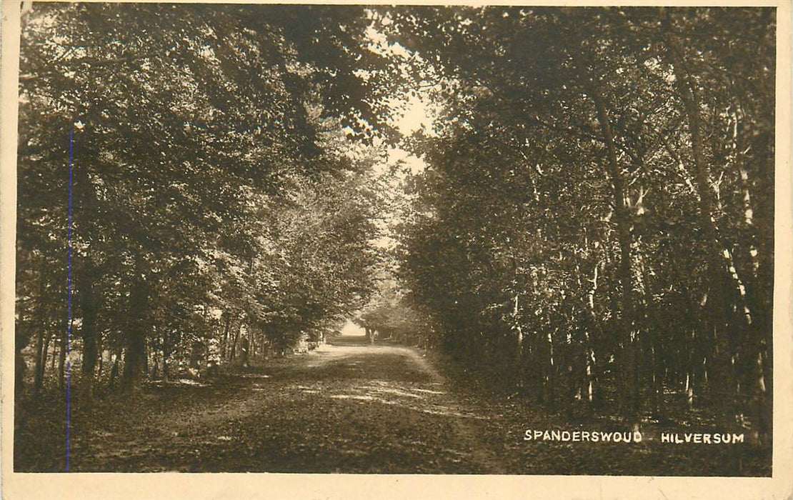 Hilversum Spanderswoud