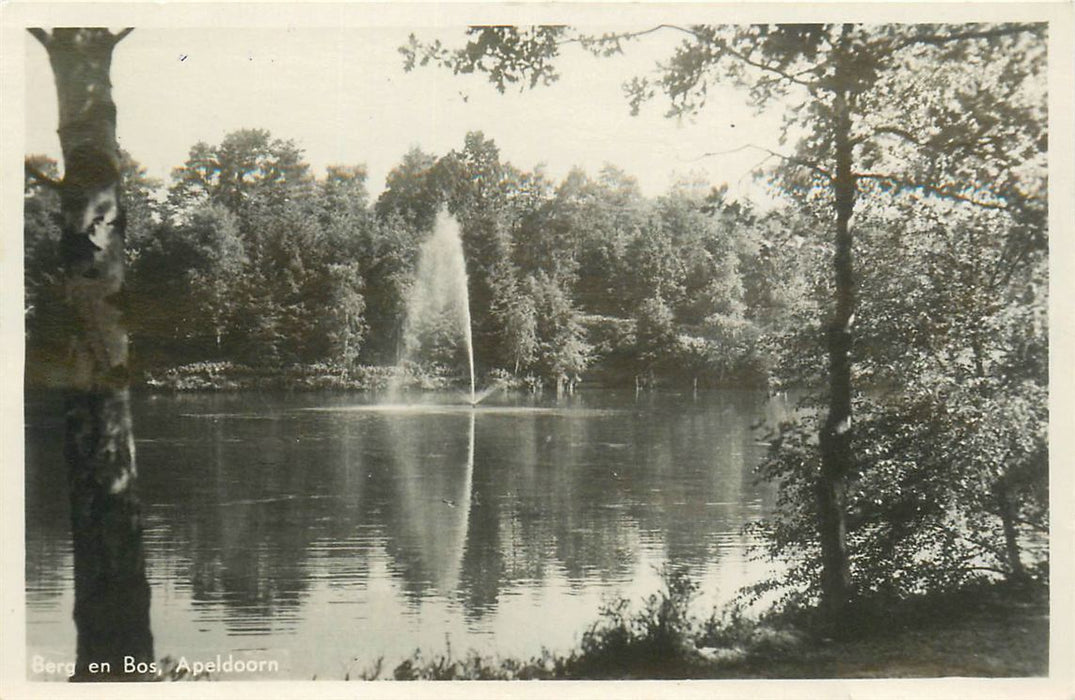 Apeldoorn Berg En Bos