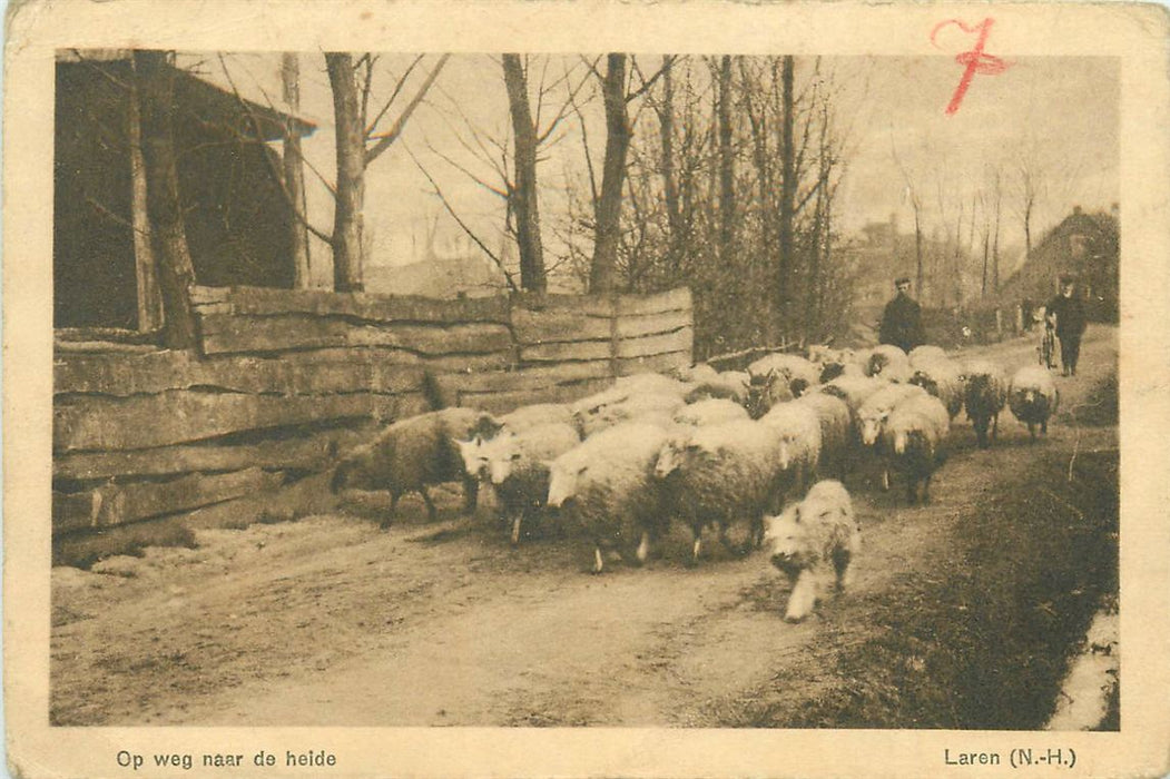 Laren Nh Op Weg Naar De Heide