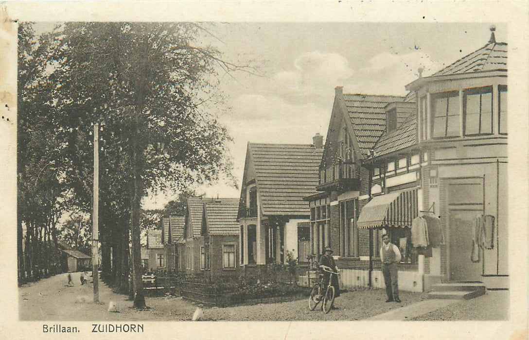 Zuidhorn Brillaan