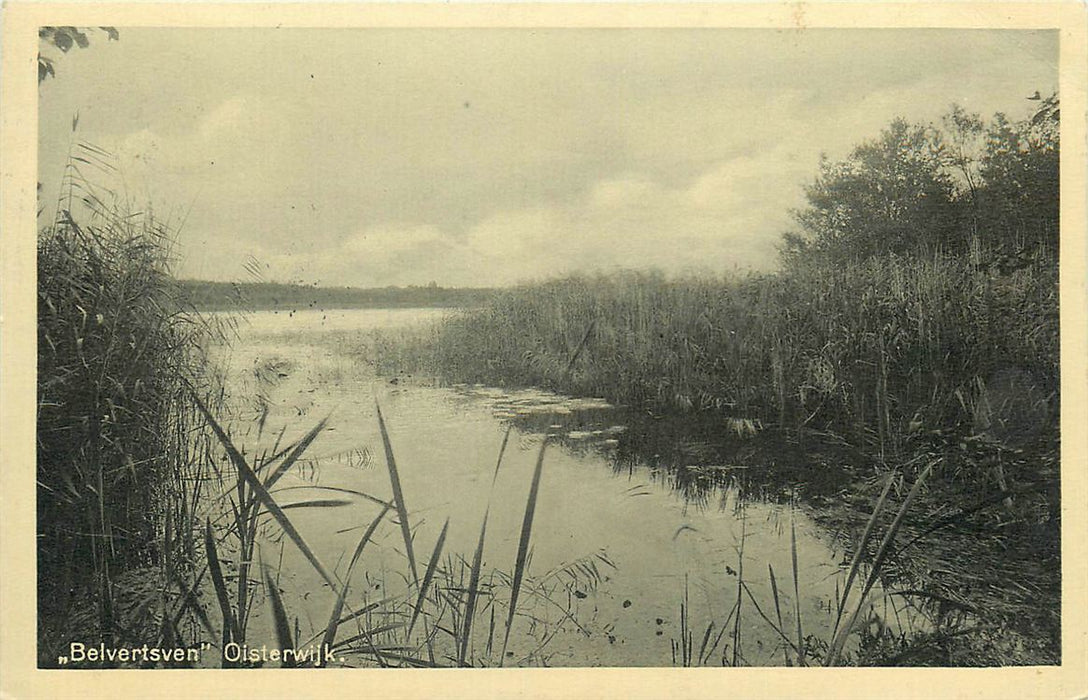 Oisterwijk Belvertsven