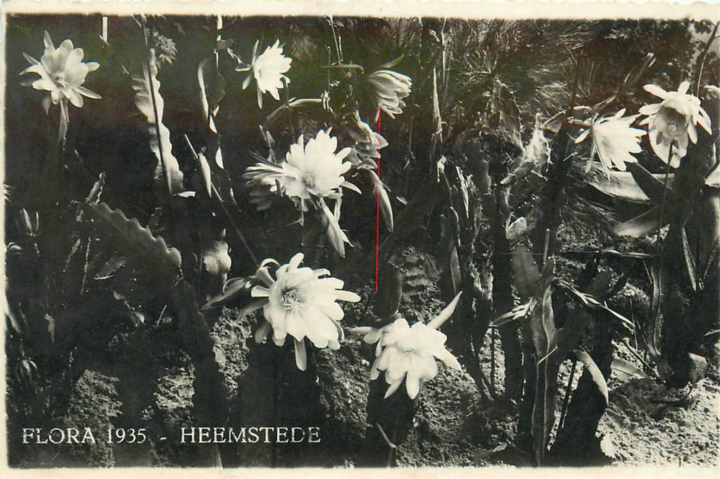 Heemstede Flora 1935