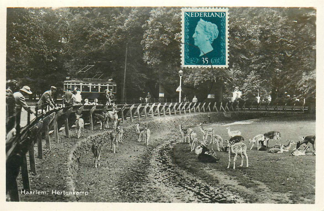 Haarlem Hertenkamp