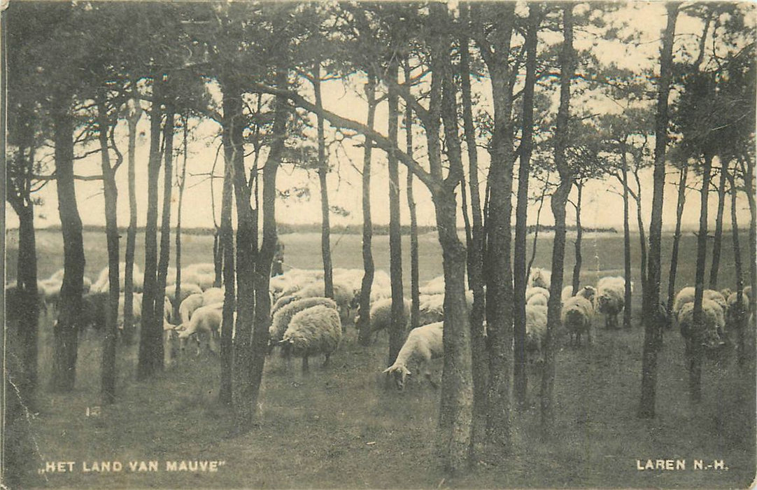 Laren Nh