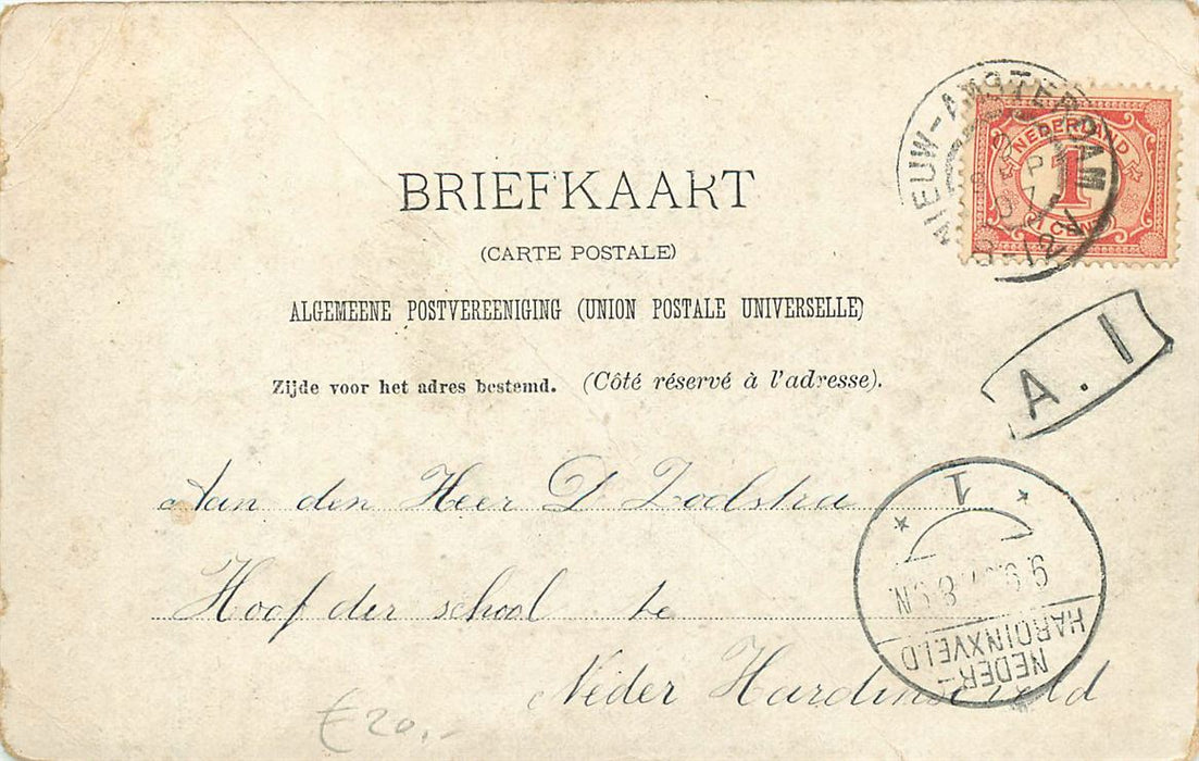 Nieuw Amsterdam La Paix