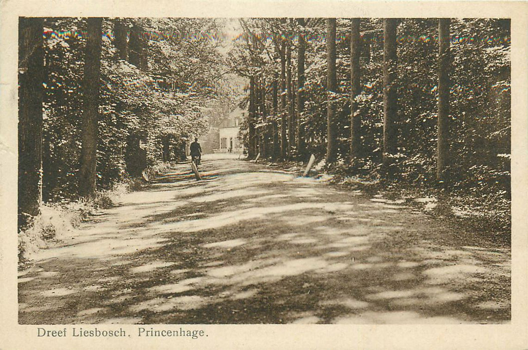 Breda Dreef Liesbosch