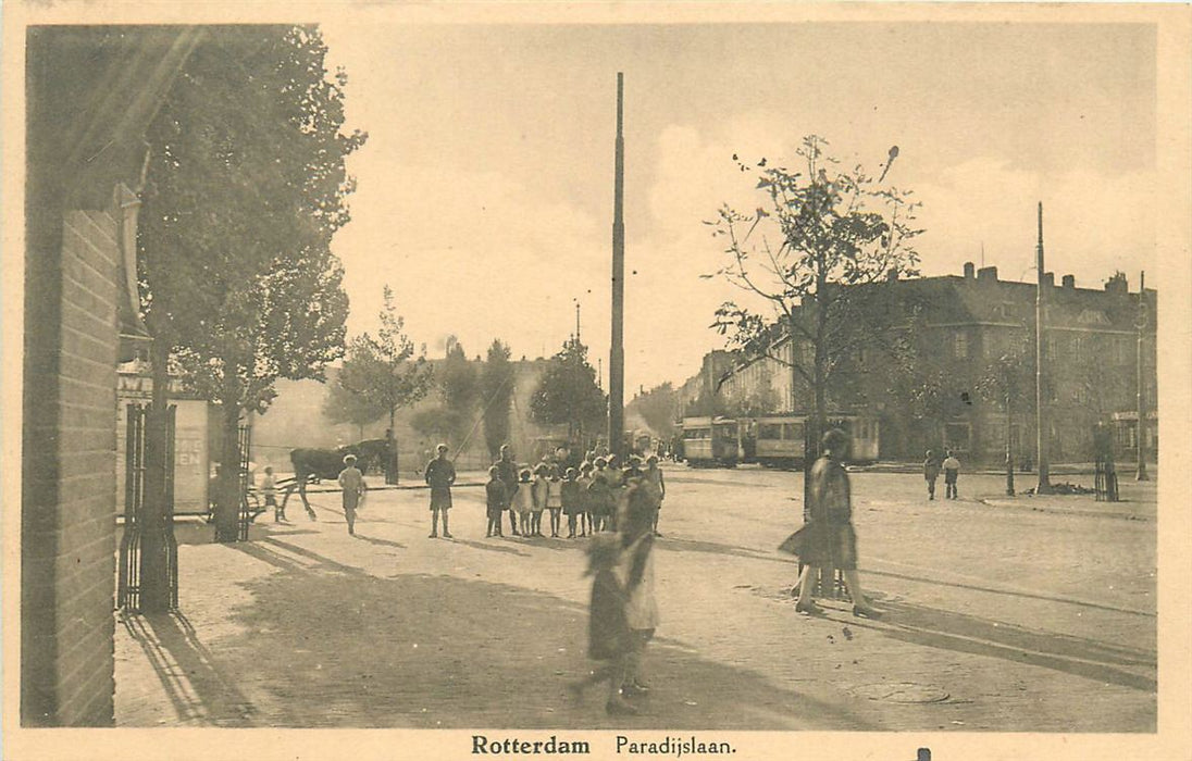 Rotterdam Paradijslaan