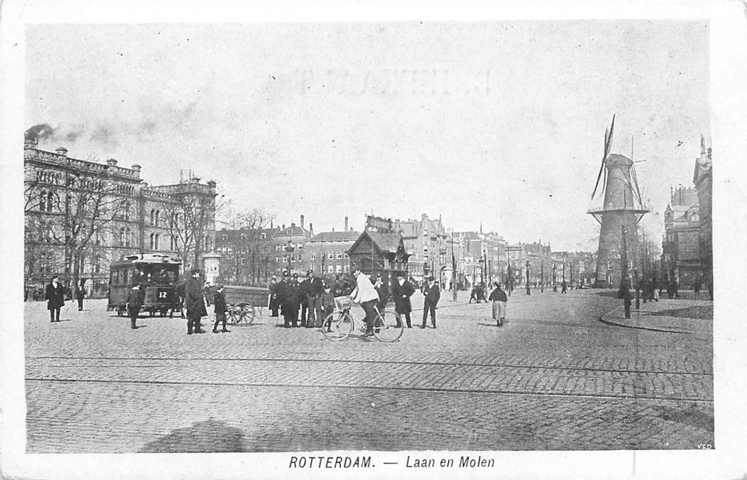 Rotterdam Laan En Molen