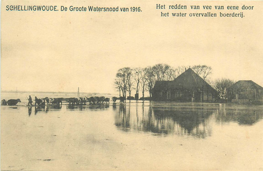 Amsterdam Schellingwoude