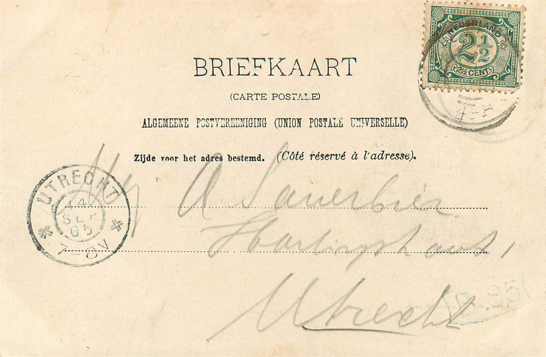 Diever Brink