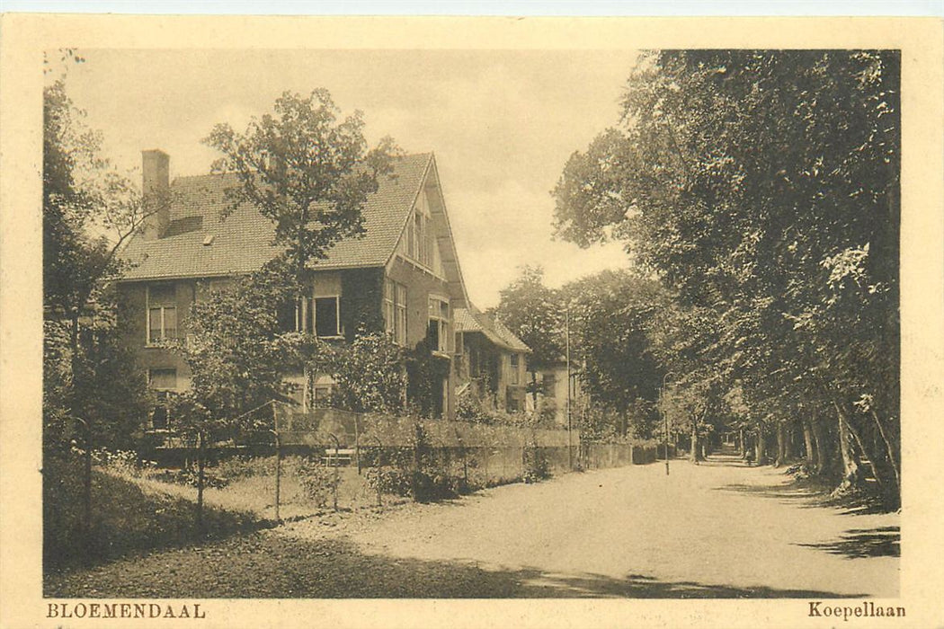 Bloemendaal Koepellaan