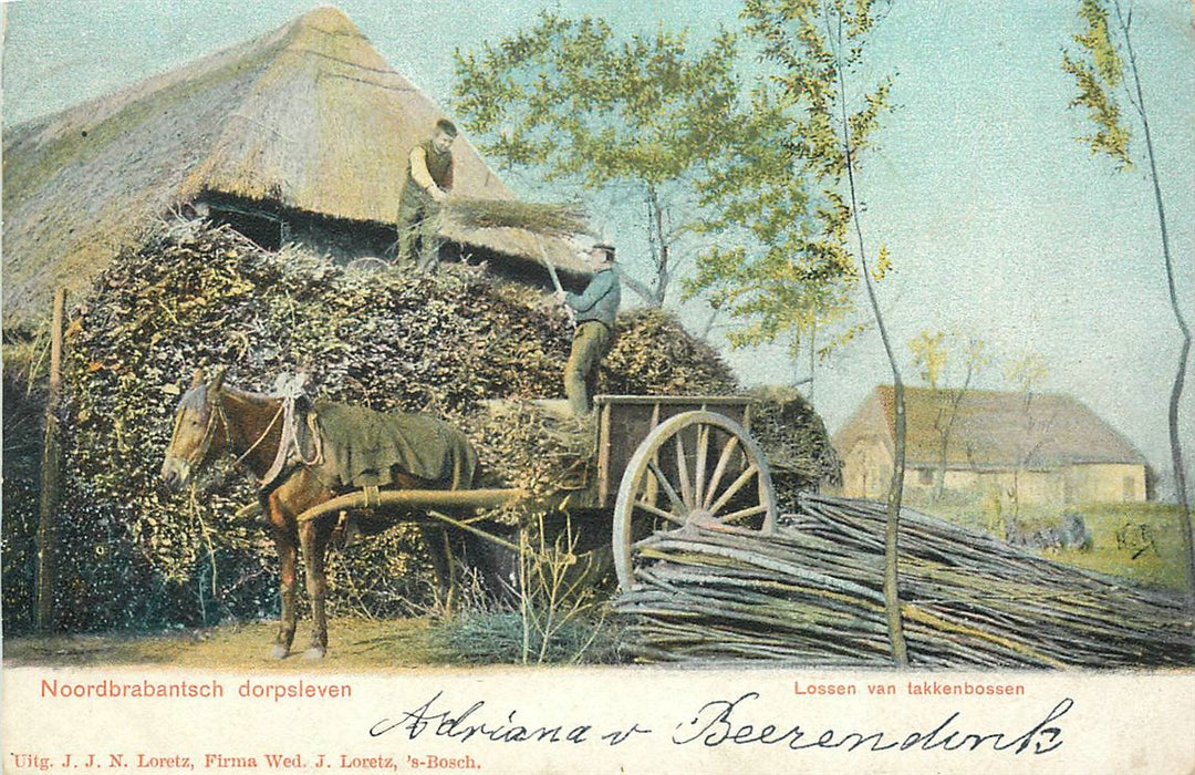 Noordbrabantsch Dorpsleven Lossen Van De Takkenbossen