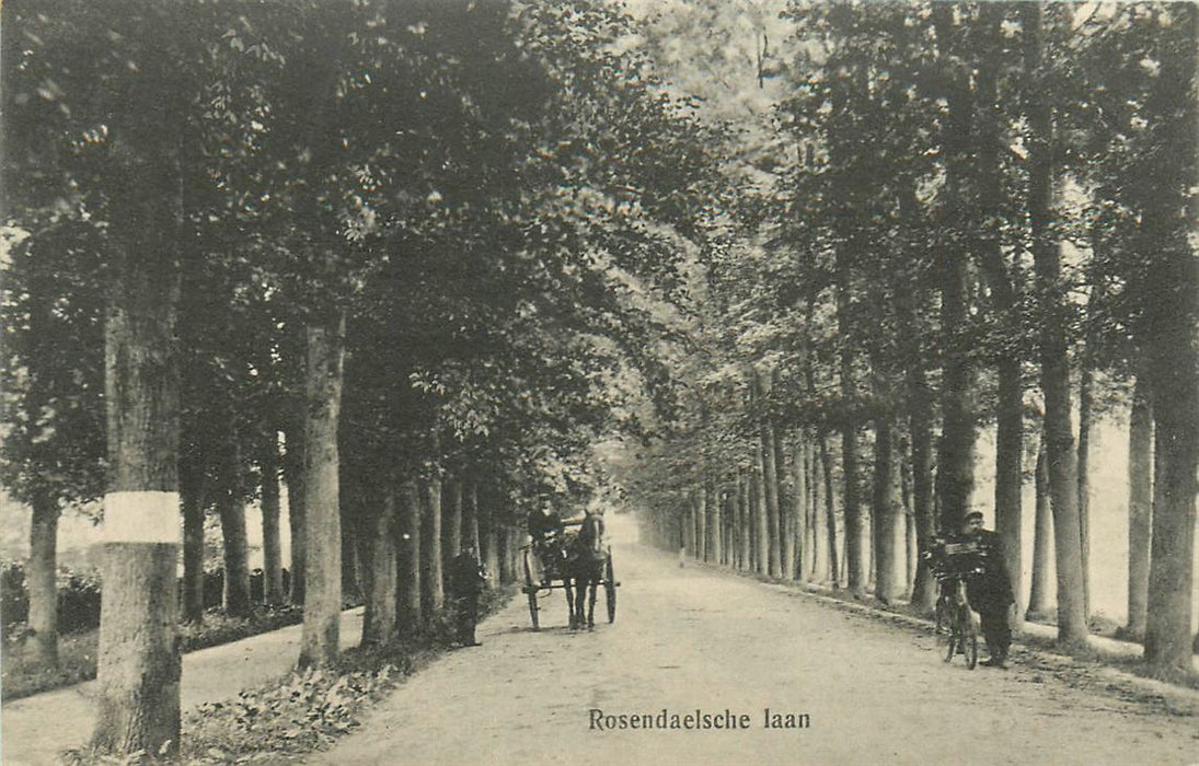 Velp Rosendaelsche Laan