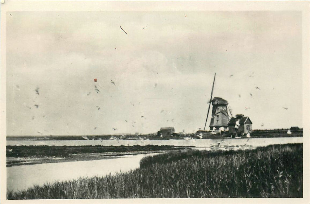 Texel Vogelbroedplaats De Bol