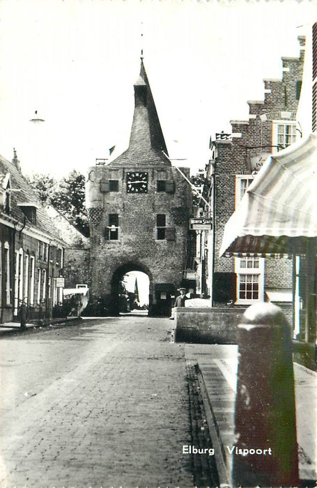 Elburg Vispoort
