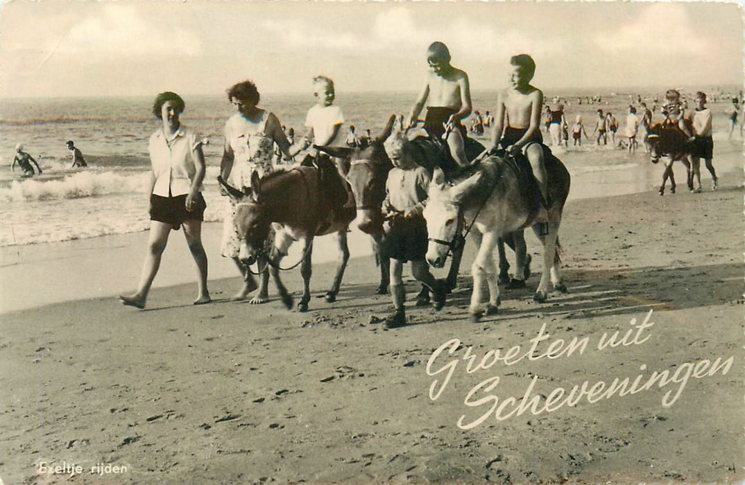 Scheveningen Ezeltje Rijden
