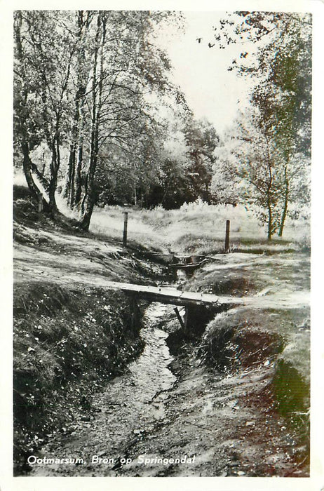 Ootmarsum  Bron Op Springendaal