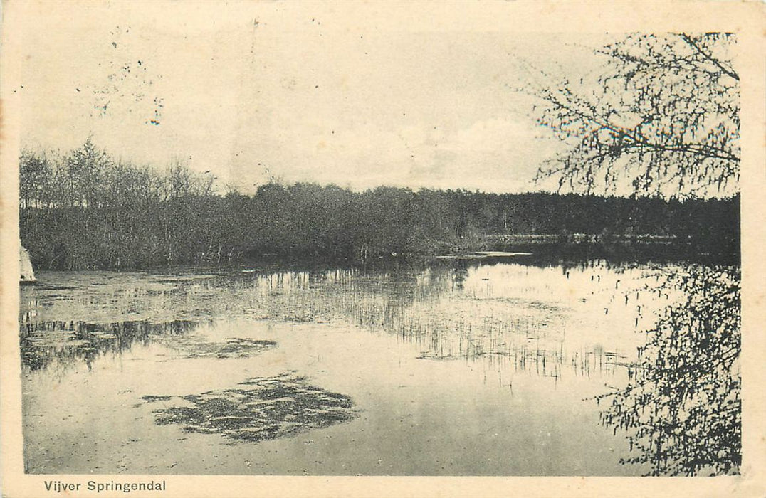 Ootmarsum  Vijver Springendal
