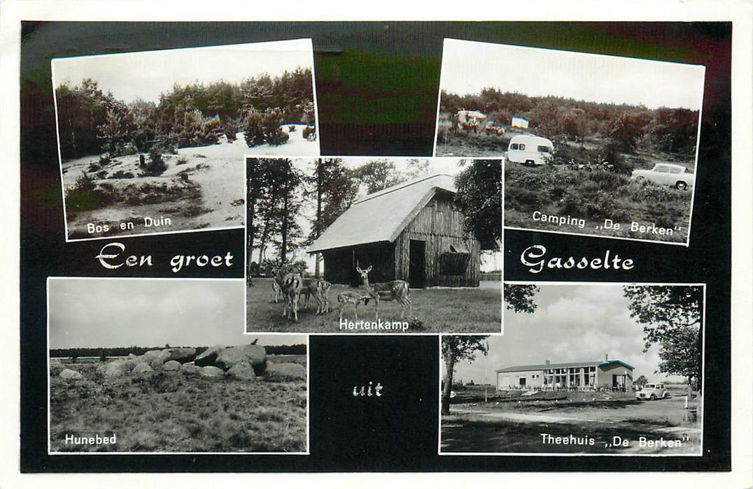 Gasselte