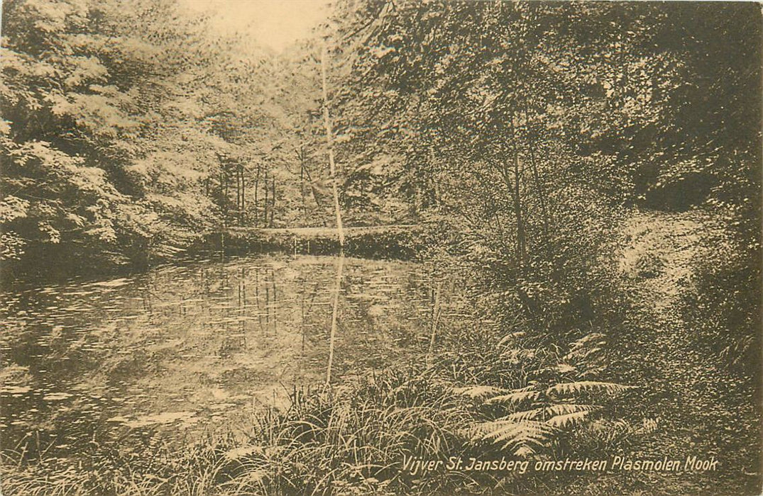 Plasmolen Vijver St Jansberg