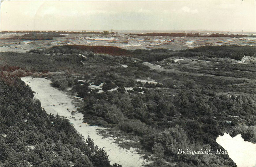 Haamstede Duingezicht