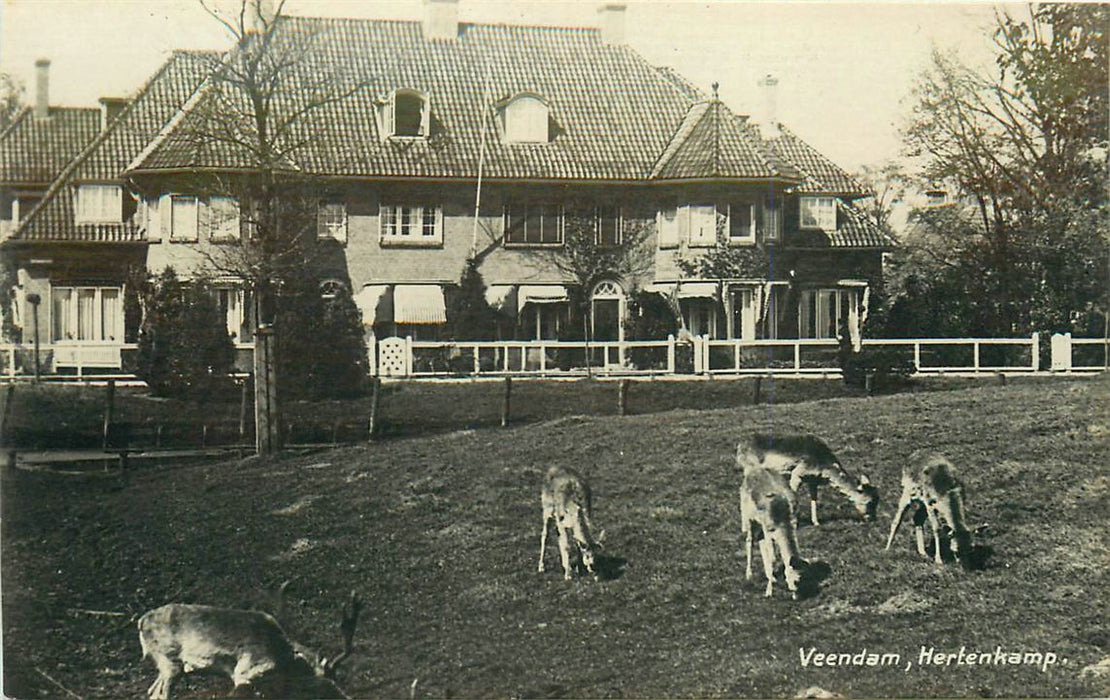 Veendam Hertenkamp