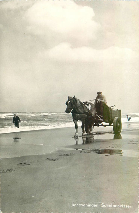 Scheveningen Schelpenvisser