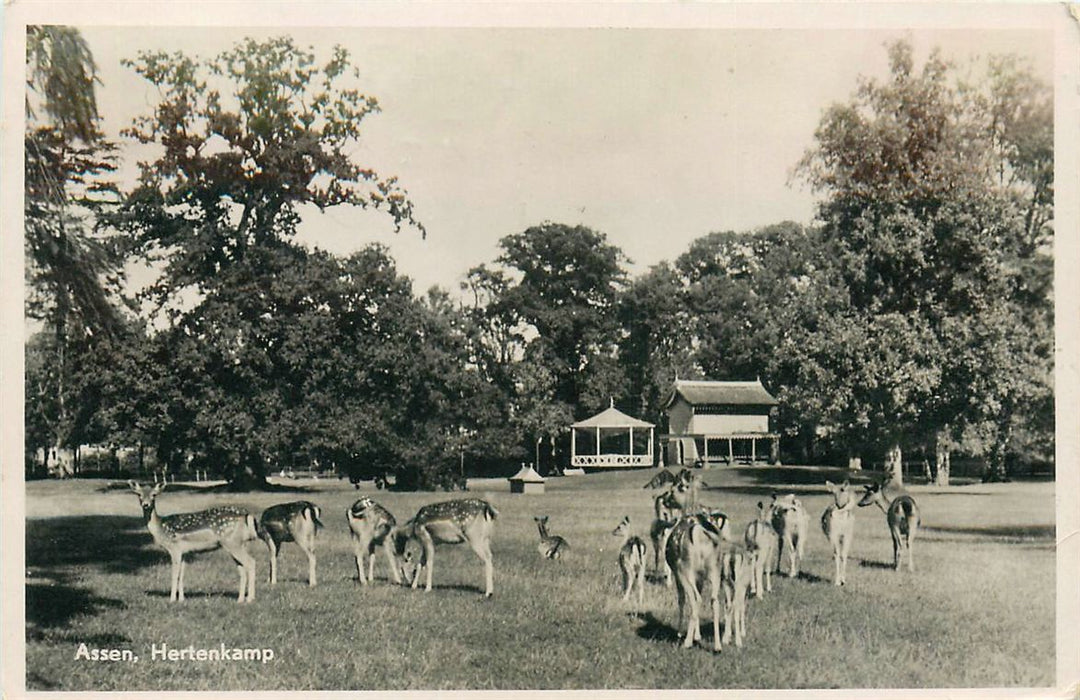 Assen Hertenkamp