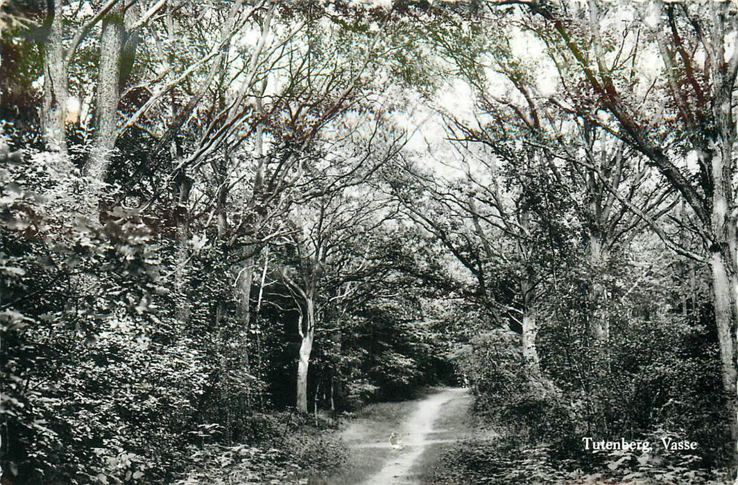 Vasse Tutenberg
