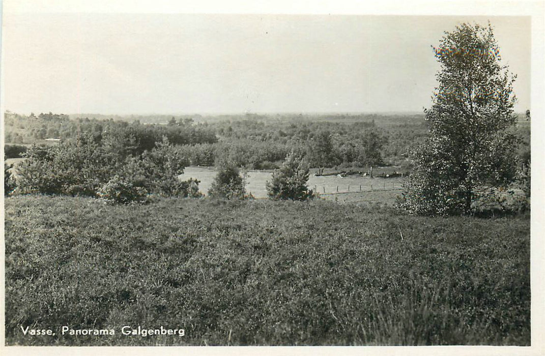 Vasse Galgenberg