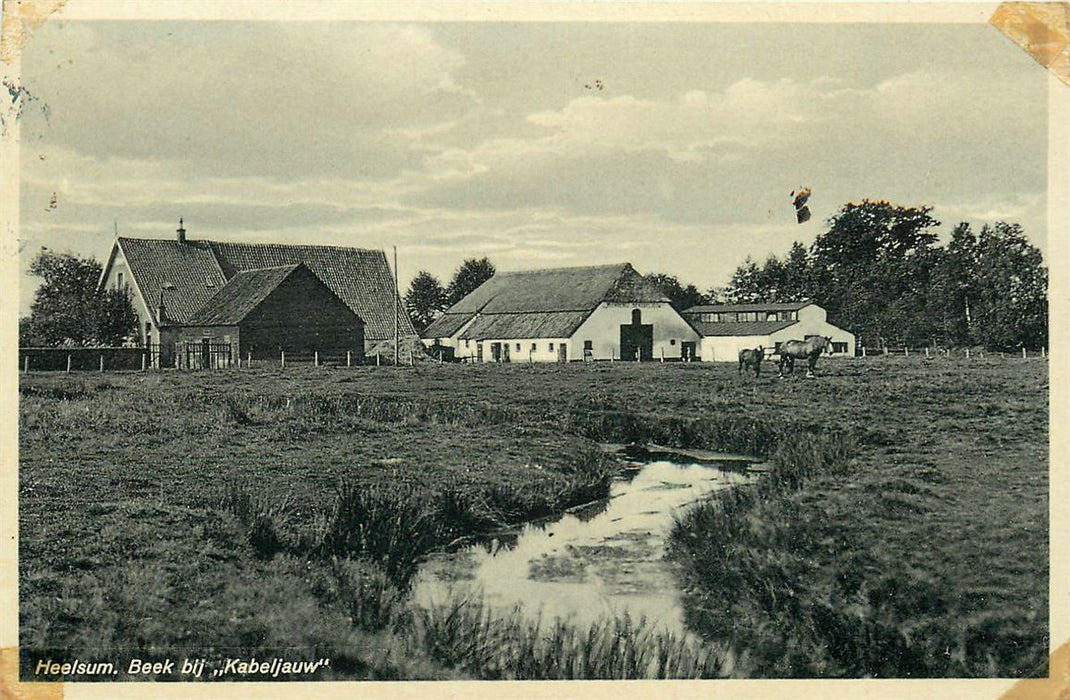 Heelsum Beek Bij Kabeljauw