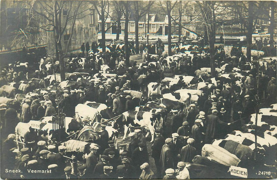 Sneek Veemarkt