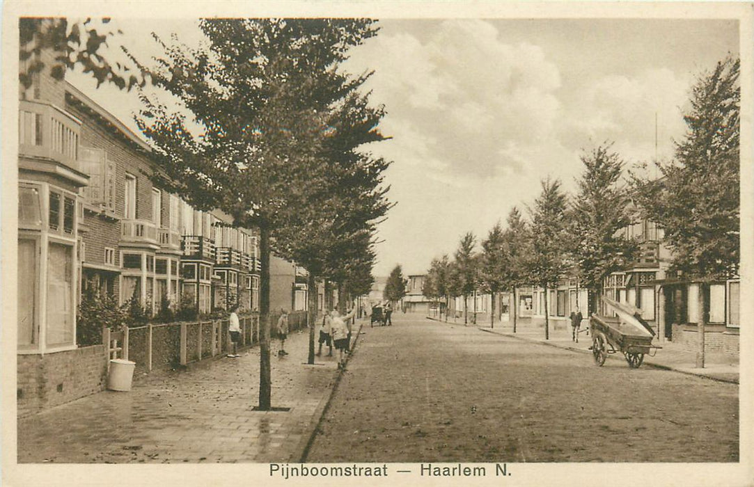 Haarlem Pijnboomstraat