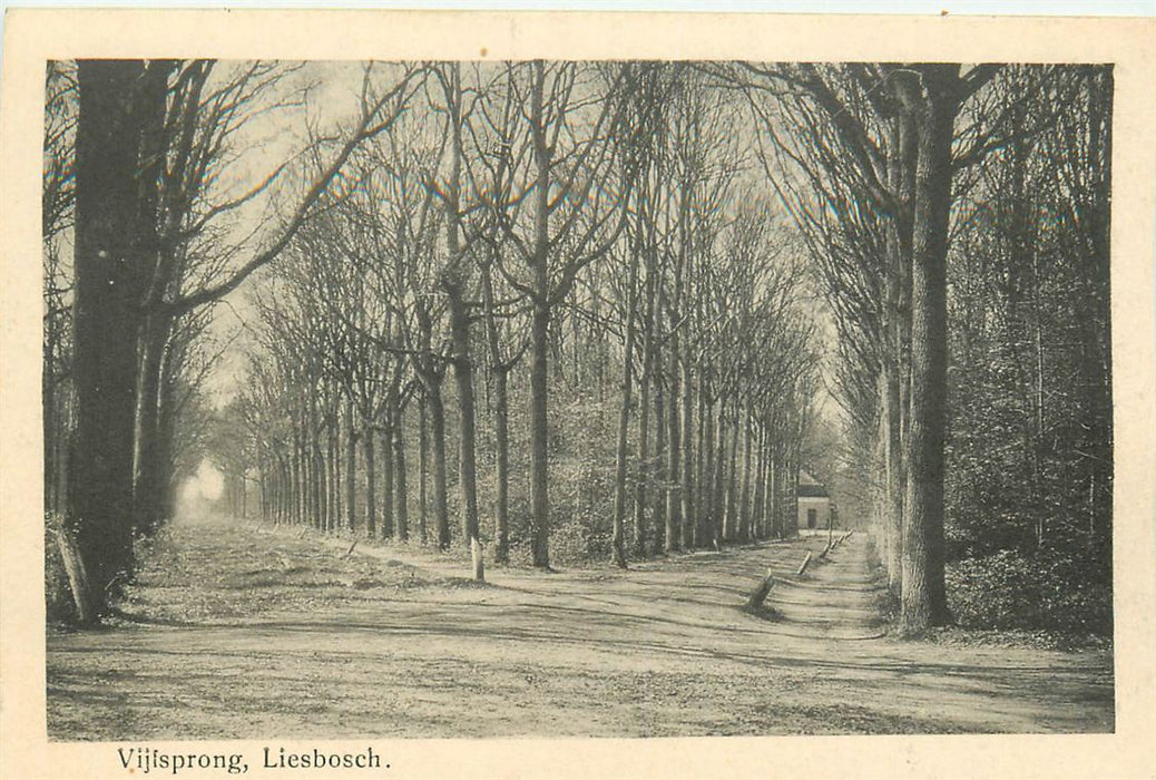 Breda Vijfsprong Liesbosch