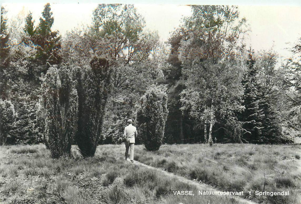 Vasse T Springendal