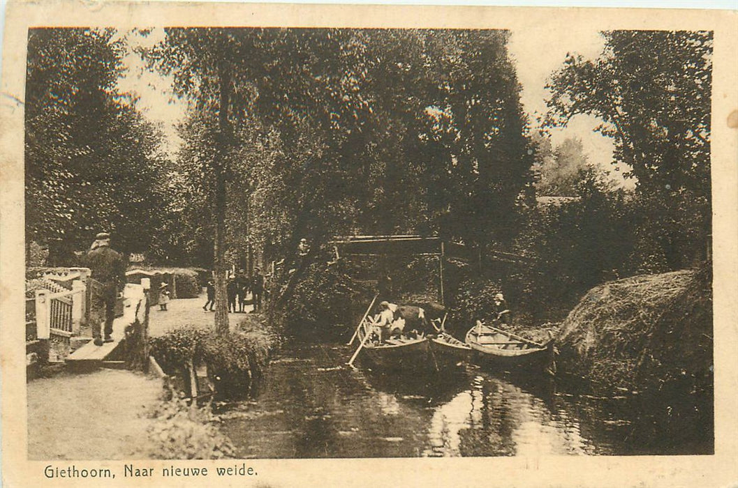 Giethoorn Naar De Weide