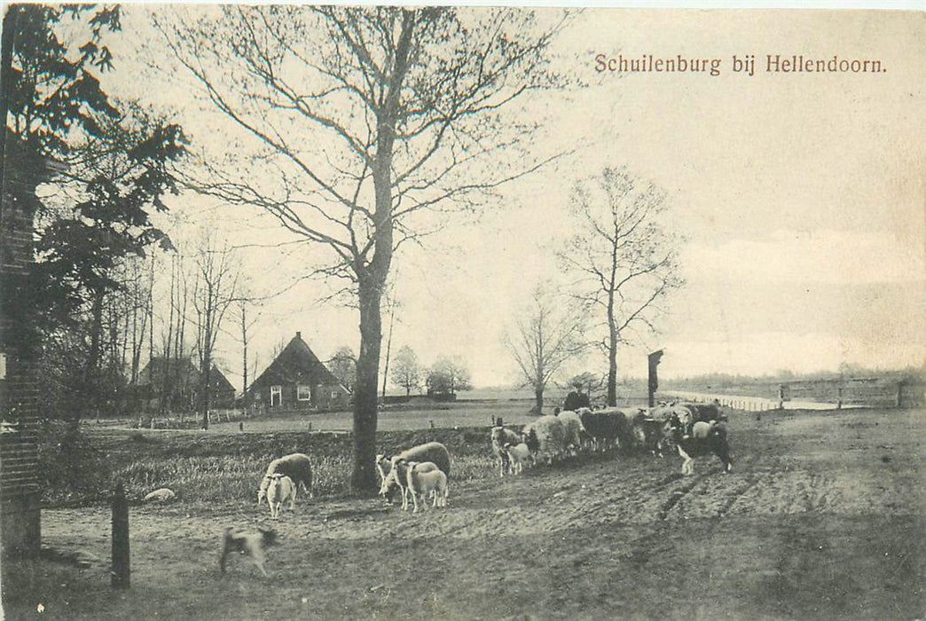 Hellendoorn Schuilenburg