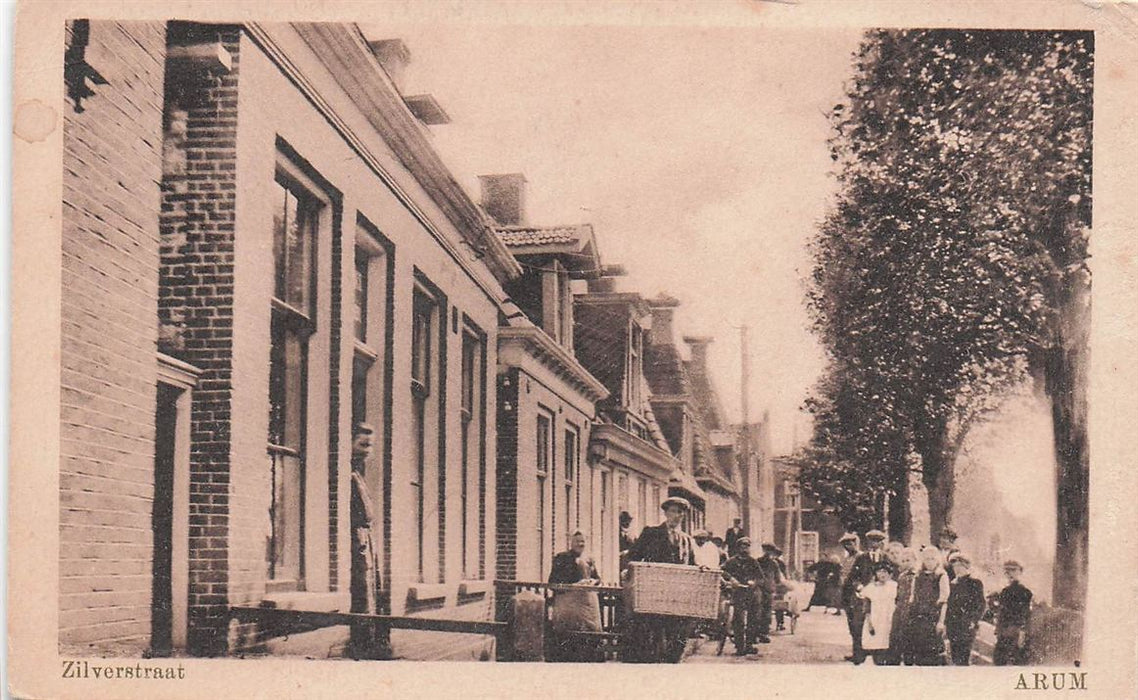 Zilverstraat Arum