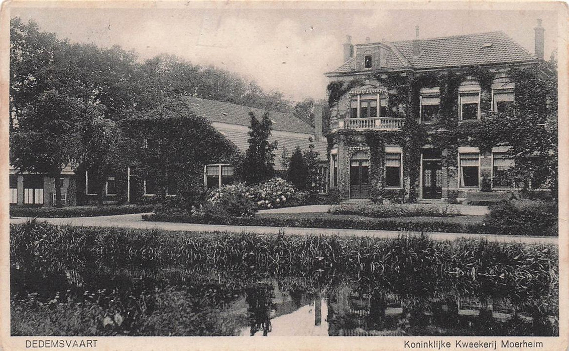Dedemsvaart Koninklijke Kweekerij Moerheim