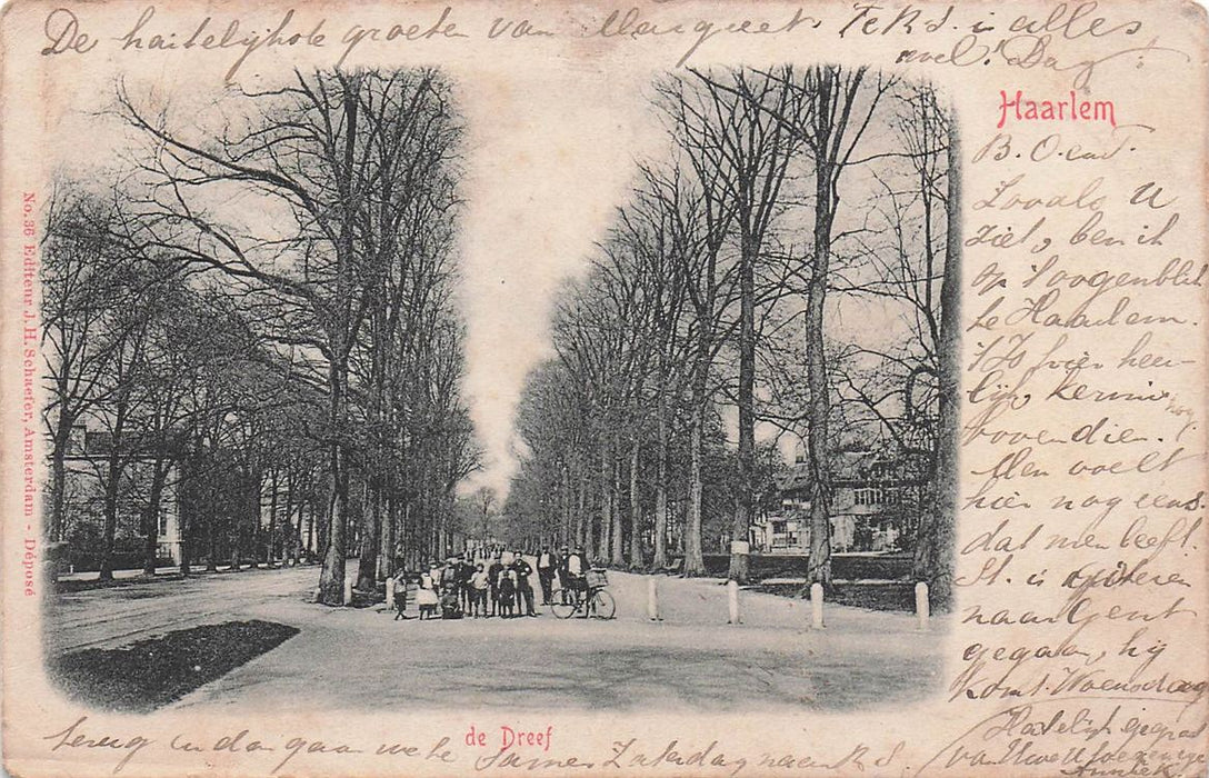 Haarlem De Dreef