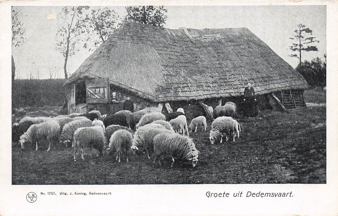 Dedemsvaart